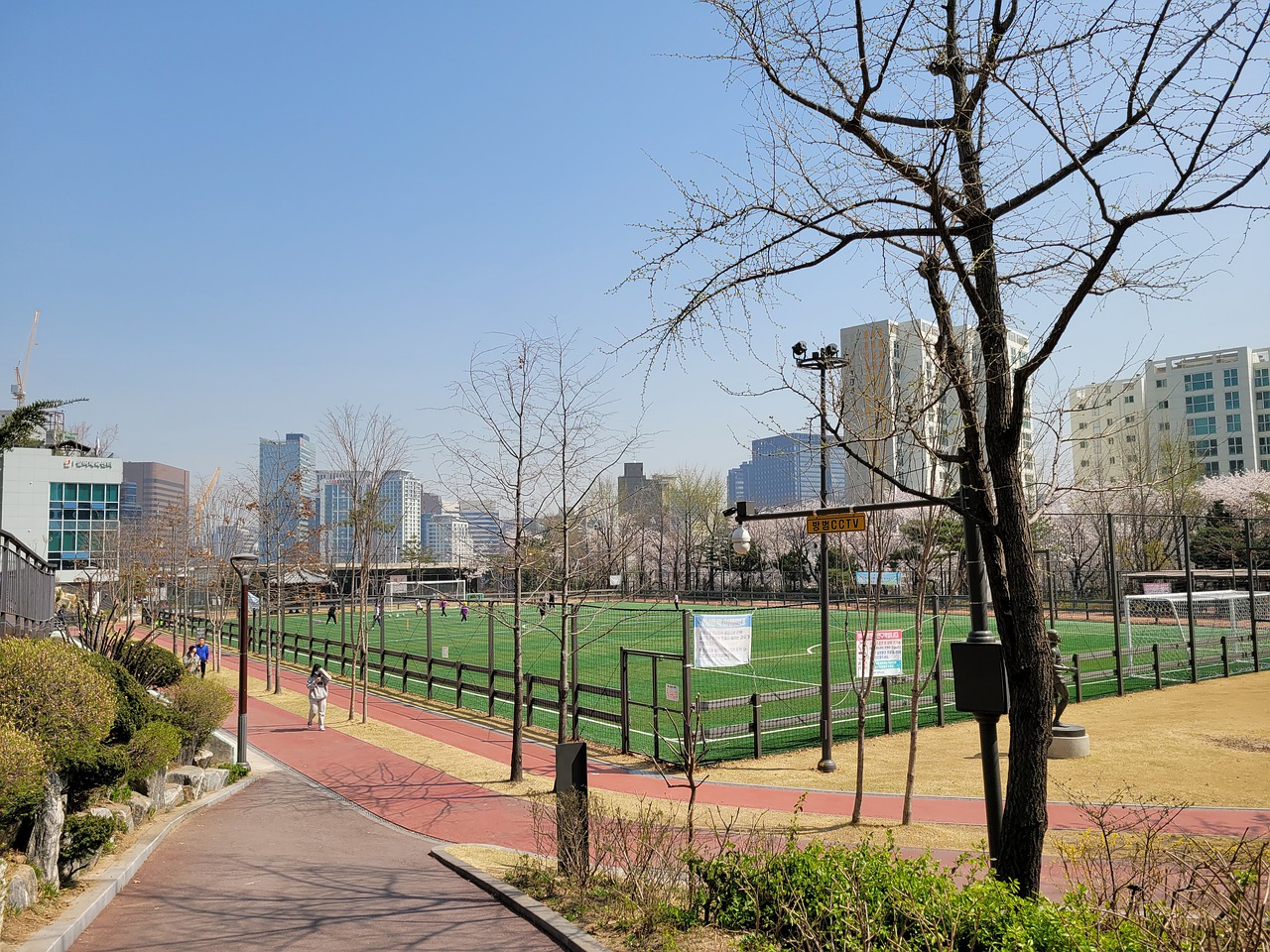 们在欧冠中