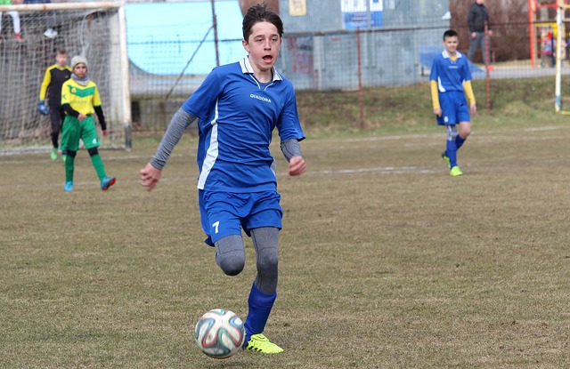 经济战略的 经济战略的