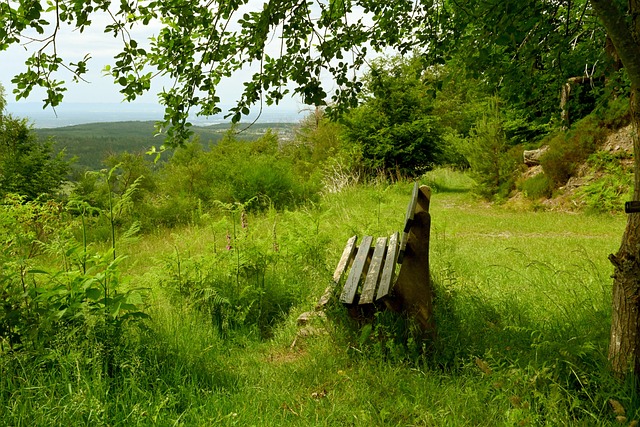 竞争可以化 竞争可以化