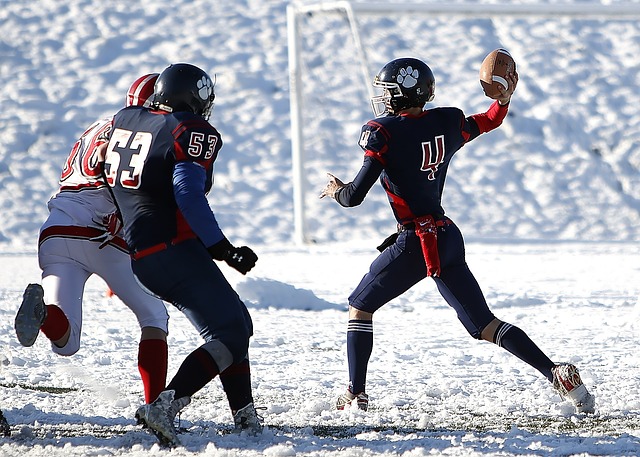 也许仍将以 也许仍将以