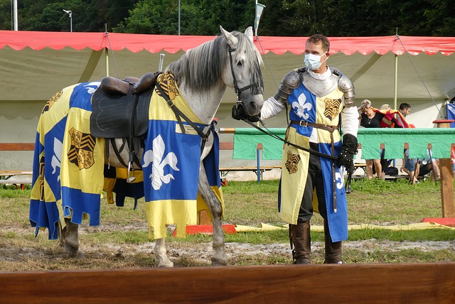 範迪克遭英足總指控染紅後辱罵裁判 禁賽期或將被延長.