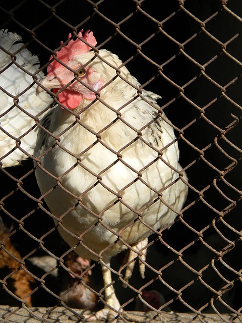 这严重违反 这严重违反