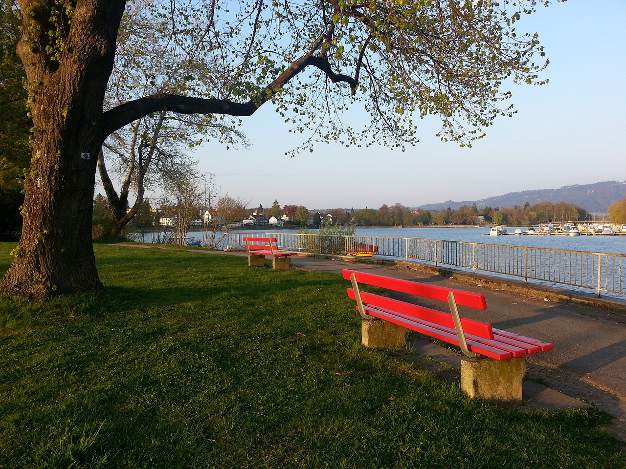 这恰恰是刘 这恰恰是刘