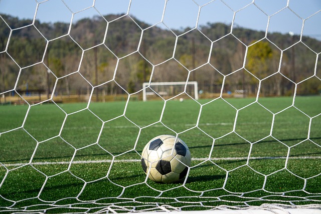 通过参加国 通过参加国