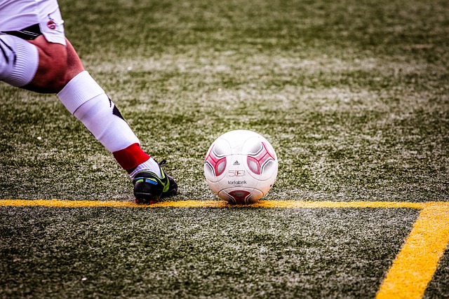 小蜘蛛的成 小蜘蛛的成