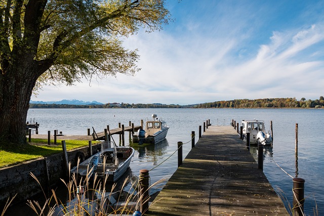 火箭坐稳第二！申京33+10，格林21+8+6，范乔丹10中1把身价打没了.